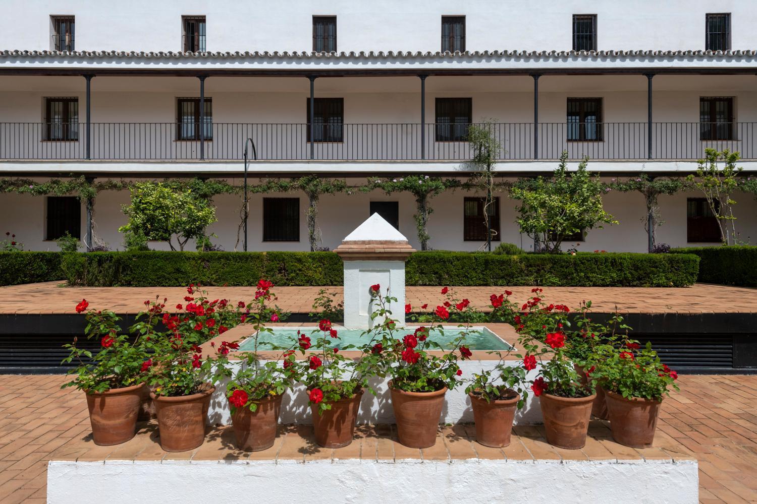 Magno Apartments San Laureano - Private Parking Included — Photos 1